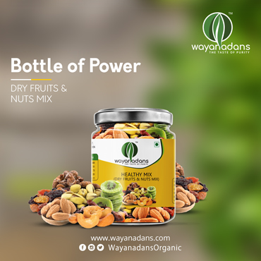healthy dry fruits mix