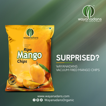 vacuum fried chips in india24