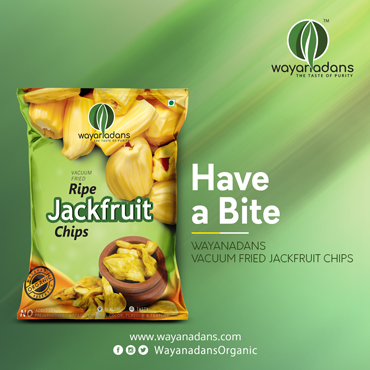 vacuum fried chips in kerala33