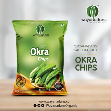 vacuum fried chips company