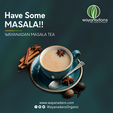 vacuum fried chips manufactures in india114